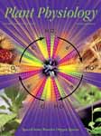 Plant Physiology cover